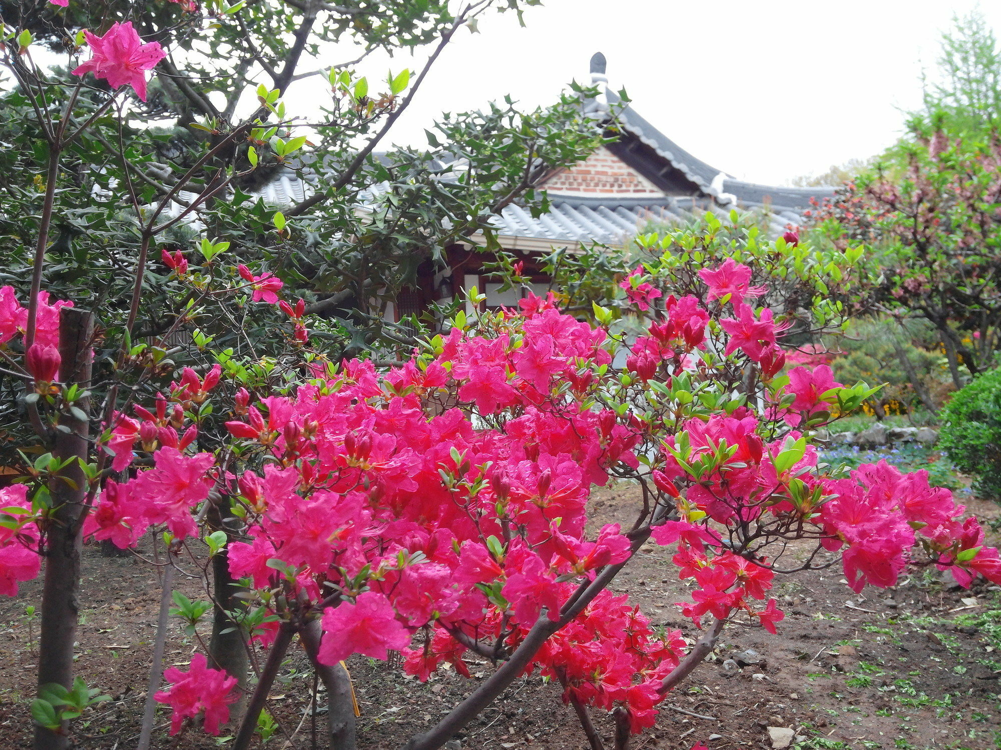 Sodamwon Jeonju Exterior foto